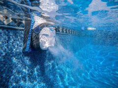Dolphin S300 Otomatik Havuz Temizleme Robotu